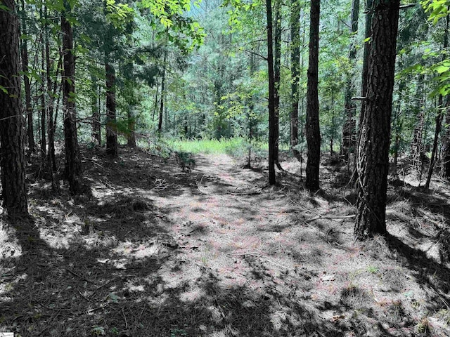 1608 Saint Philips Church Rd, Prosperity, SC 29127