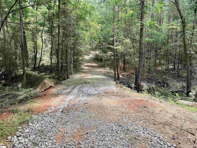 1608 Saint Philips Church Rd, Prosperity, SC 29127
