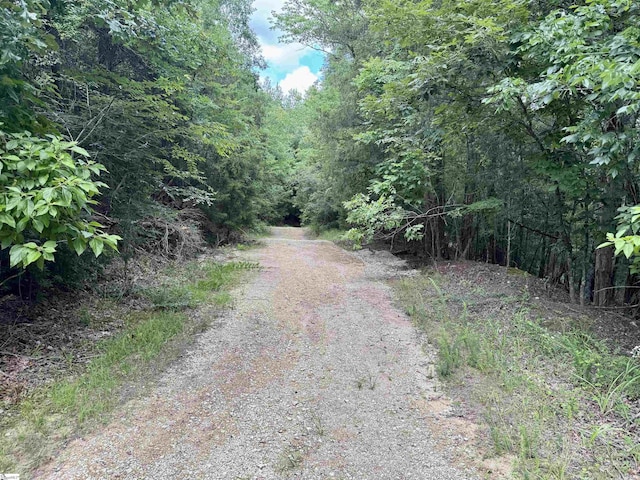 1608 Saint Philips Church Rd, Prosperity, SC 29127