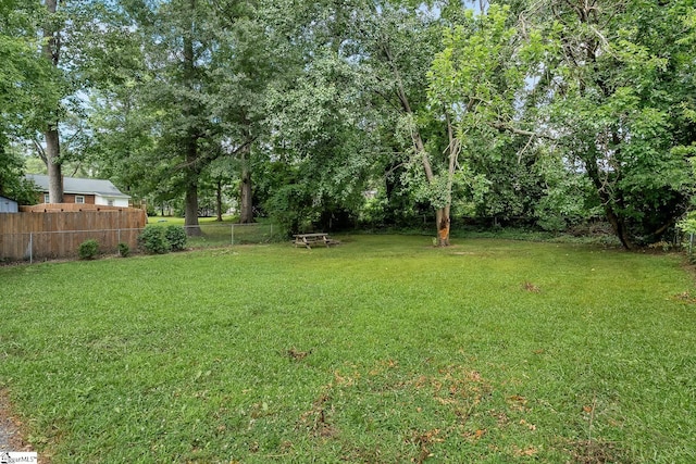 1706 Park Dr, Anderson, SC 29625 - view of yard