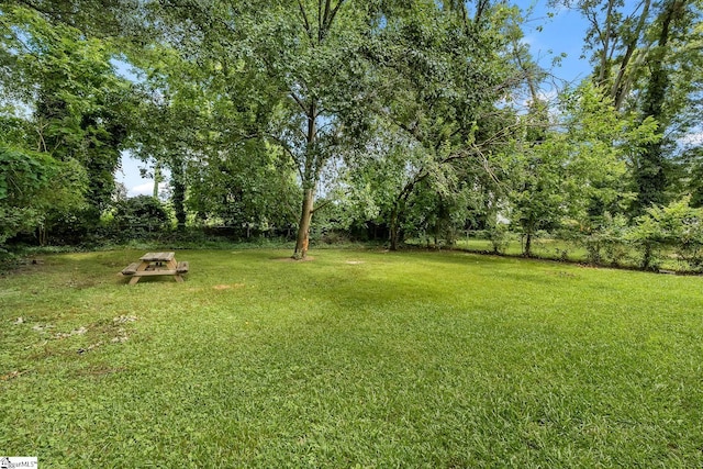 1706 Park Dr, Anderson, SC 29625 - view of yard
