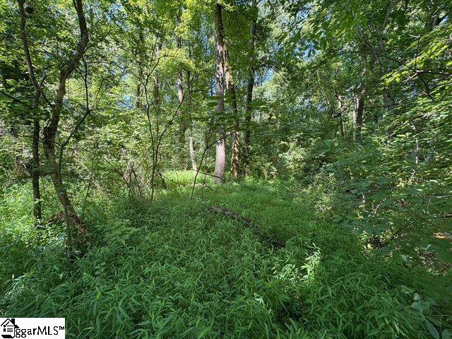 Berry Shoals Rd, Duncan, SC 29334