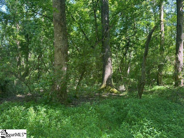 Berry Shoals Rd, Duncan, SC 29334