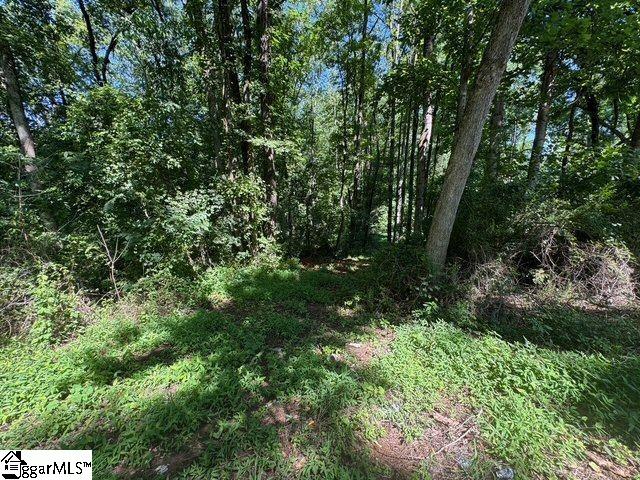 Berry Shoals Rd, Duncan, SC 29334