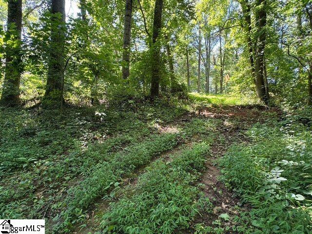 Berry Shoals Rd, Duncan, SC 29334