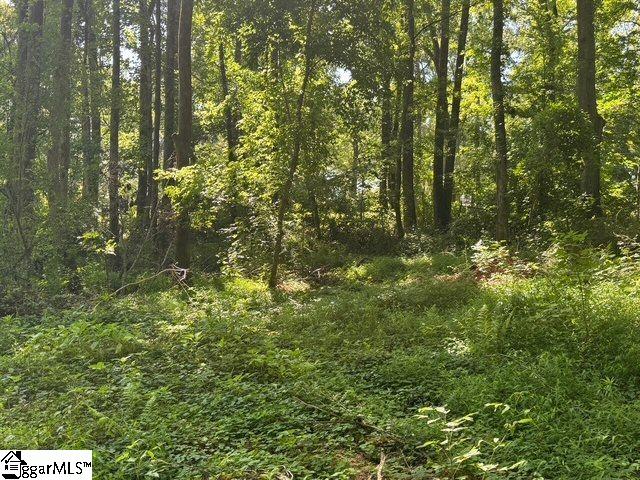 Berry Shoals Rd, Duncan, SC 29334