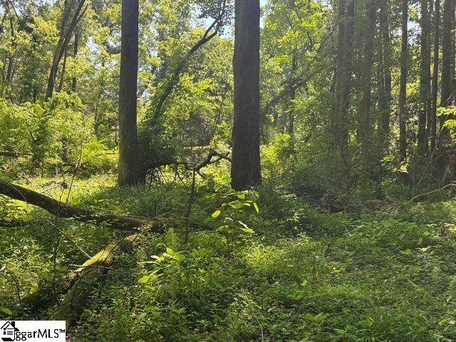 Berry Shoals Rd, Duncan, SC 29334