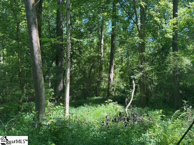 Berry Shoals Rd, Duncan, SC 29334