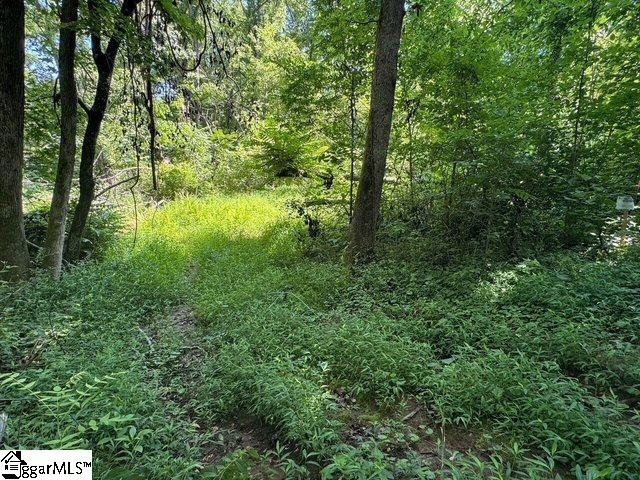 Berry Shoals Rd, Duncan, SC 29334