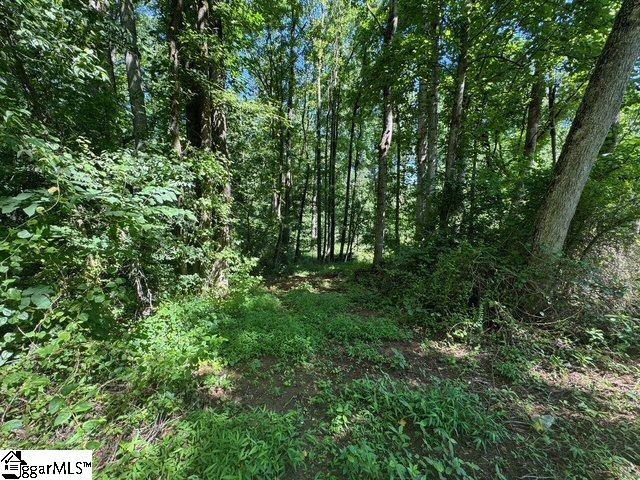 Berry Shoals Rd, Duncan, SC 29334