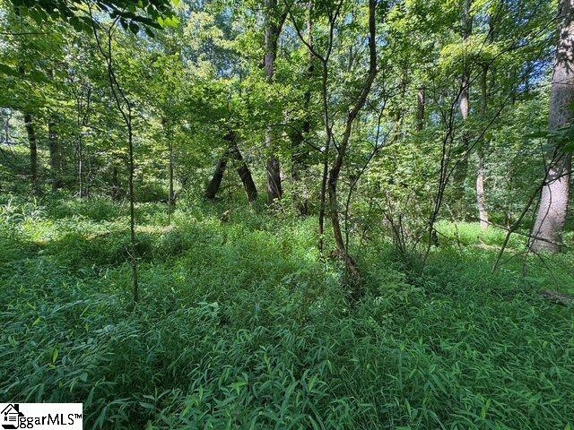 Berry Shoals Rd, Duncan, SC 29334