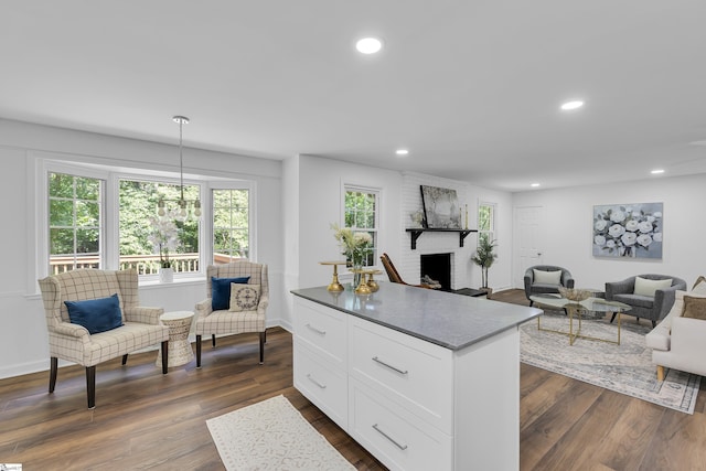 505 E Hackney Rd, Greer, SC 29650 - kitchen with white cabinetry, a fireplace, dark wood-style floors, open floor plan, and recessed lighting