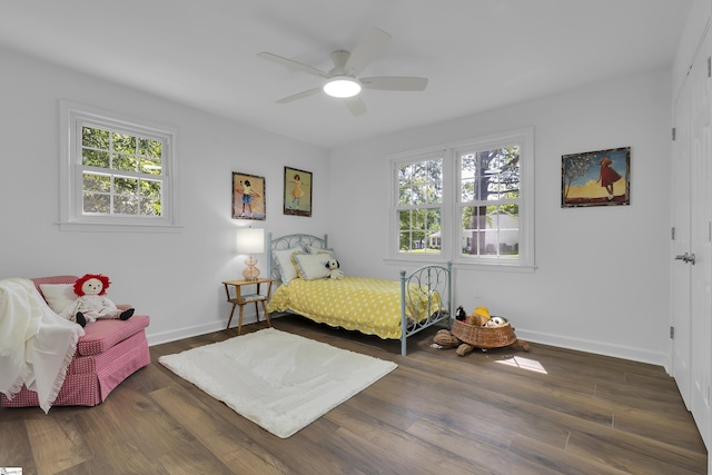 505 E Hackney Rd, Greer, SC 29650 - bedroom with multiple windows, wood finished floors, and a closet