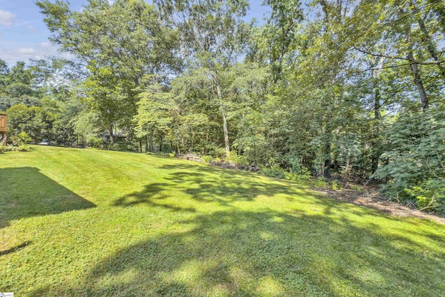 505 E Hackney Rd, Greer, SC 29650 - view of grassy yard featuring a view of trees
