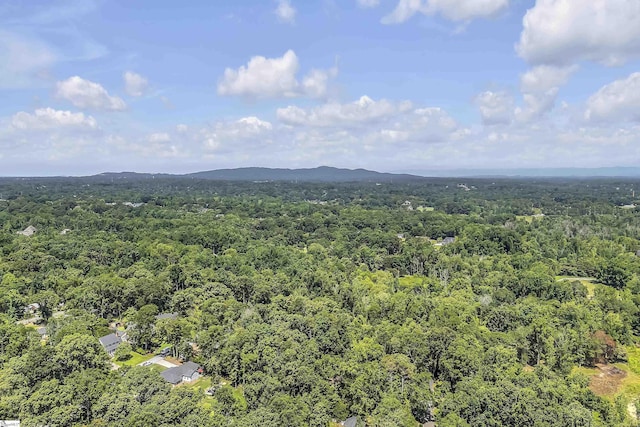 505 E Hackney Rd, Greer, SC 29650 - drone / aerial view of a heavily wooded area