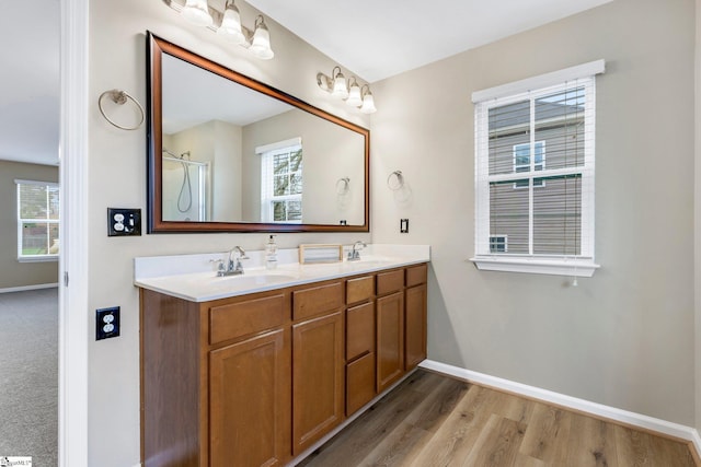 463 Lynnell Way, Moore, SC 29369 - bathroom featuring double vanity, healthy amount of natural light, wood finished floors, and a shower