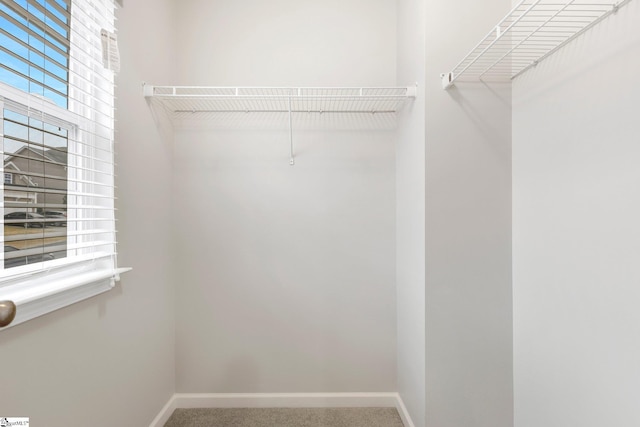 463 Lynnell Way, Moore, SC 29369 - spacious closet featuring carpet