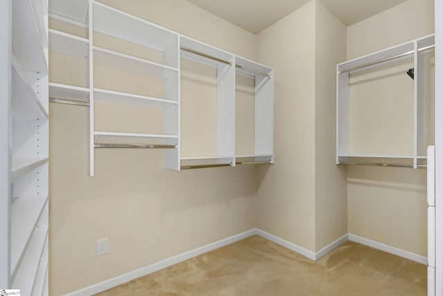 27 Dandie Dr, Simpsonville, SC 29680 - spacious closet with carpet