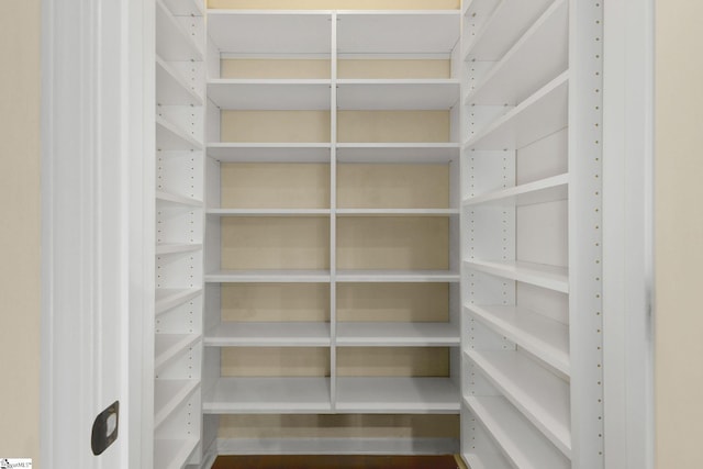 27 Dandie Dr, Simpsonville, SC 29680 - view of pantry