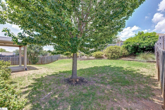 27 Dandie Dr, Simpsonville, SC 29680 - view of fenced backyard