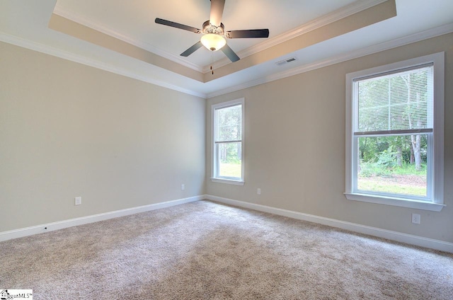 918 Belton Hwy, Williamston, SC 29691 - carpeted empty room with a raised ceiling, ornamental molding, and ceiling fan