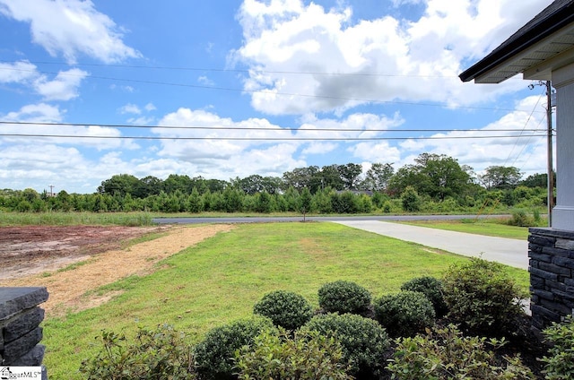 918 Belton Hwy, Williamston, SC 29691 - view of green lawn