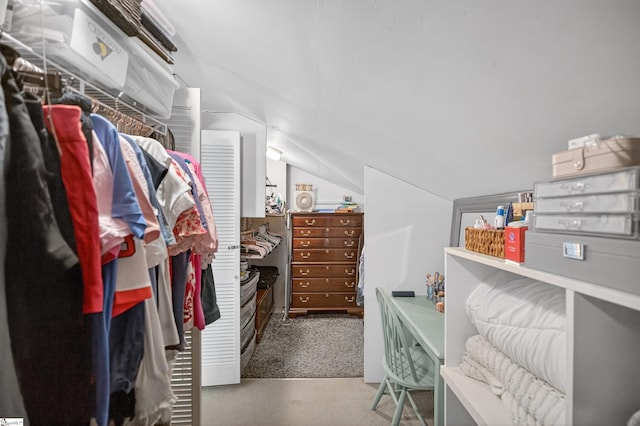 260 Riggs Dr, Clemson, SC 29631 - walk in closet featuring vaulted ceiling and carpet flooring