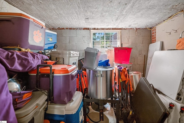 260 Riggs Dr, Clemson, SC 29631 - view of storage area
