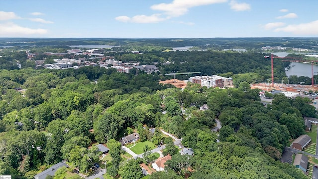 260 Riggs Dr, Clemson, SC 29631 - aerial overview of property's location with a heavily wooded area