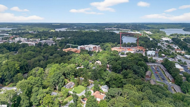 260 Riggs Dr, Clemson, SC 29631 - aerial overview of property's location with a heavily wooded area and property parcel outlined