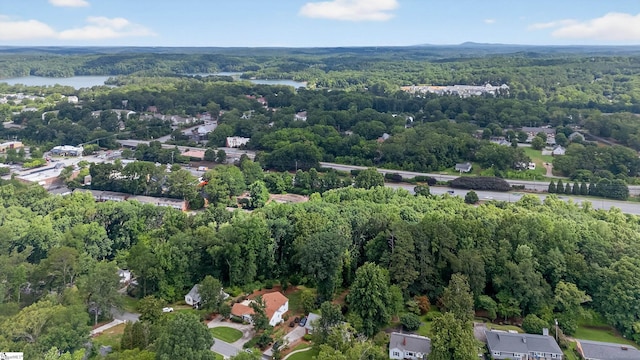 260 Riggs Dr, Clemson, SC 29631 - bird's eye view of a forest