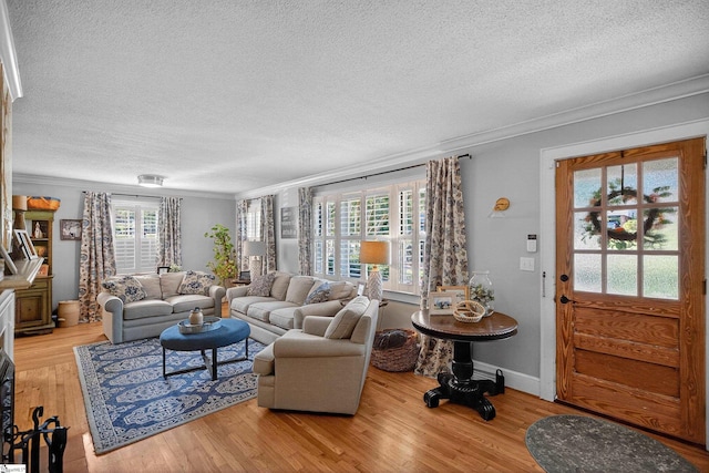 260 Riggs Dr, Clemson, SC 29631 - living area with a textured ceiling, ornamental molding, and wood finished floors
