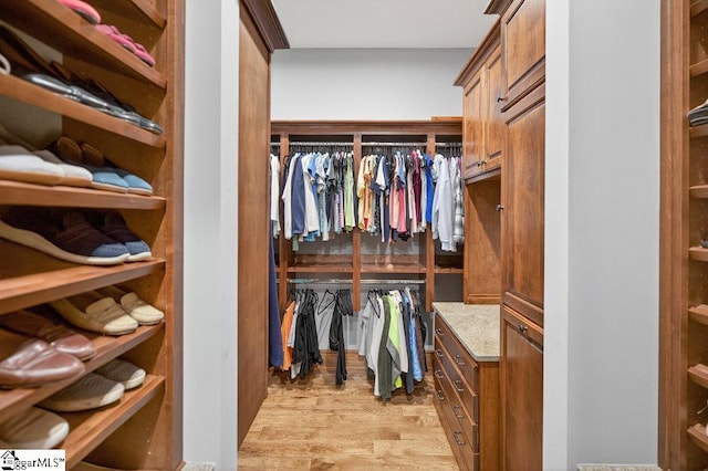 915 Rippling Water Way, Salem, SC 29676 - spacious closet with light wood-style flooring