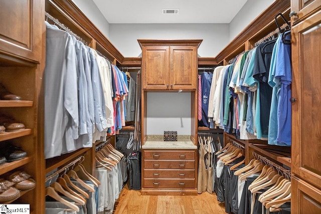915 Rippling Water Way, Salem, SC 29676 - spacious closet with light wood finished floors