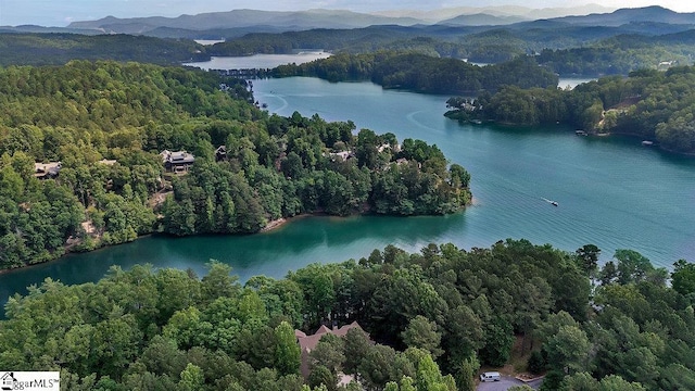915 Rippling Water Way, Salem, SC 29676 - drone / aerial view of a forest and a water and mountain view
