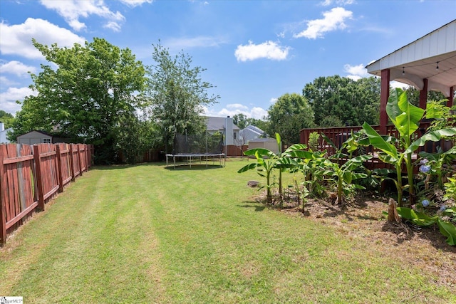 323 Waterton Way, Simpsonville, SC 29680 - fenced backyard featuring a trampoline
