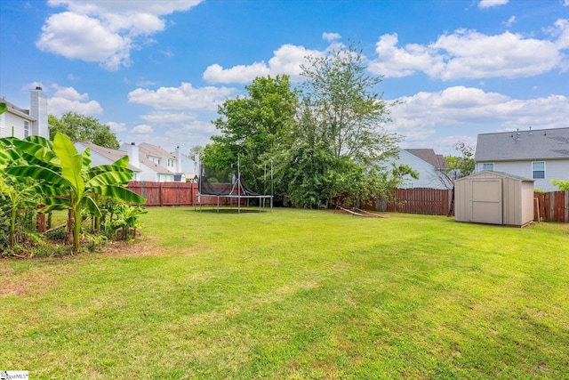 323 Waterton Way, Simpsonville, SC 29680 - fenced backyard with a trampoline and a shed