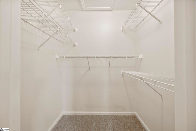 210 Admiral Ln, Greer, SC 29650 - walk in closet with carpet