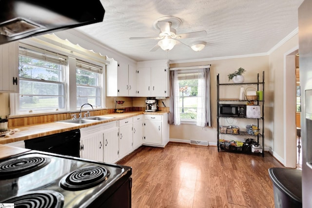 506 Piedmont Hwy, Piedmont, SC 29673 - kitchen with black appliances, white cabinetry, plenty of natural light, ornamental molding, and a textured ceiling