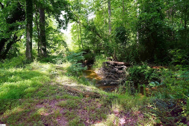 00 Barton Rd, Taylors, SC 29687