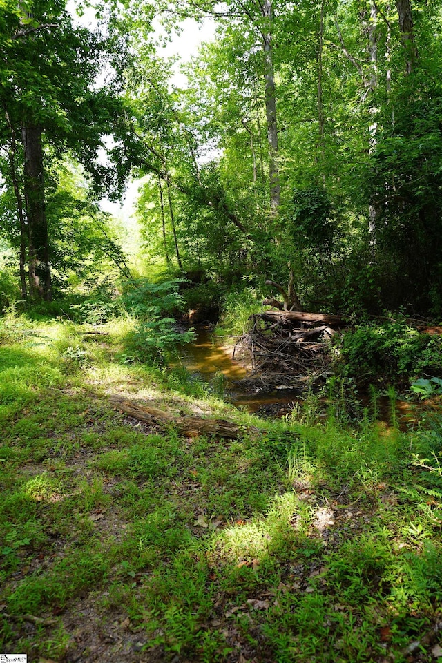 00 Barton Rd, Taylors, SC 29687