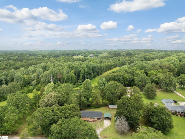 1142 Cooper Bridge Rd, Woodruff, SC 29388 - view from above of property with a forest