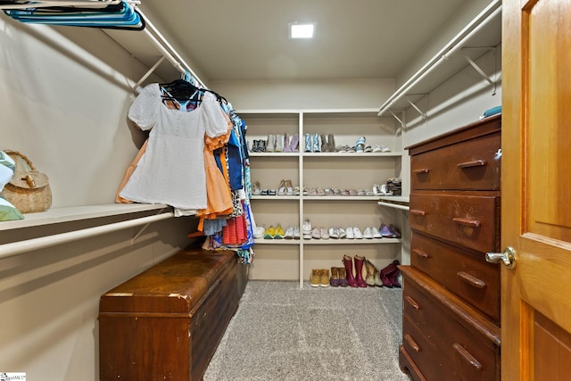 207 Sassafras Dr, Taylors, SC 29687 - walk in closet with carpet