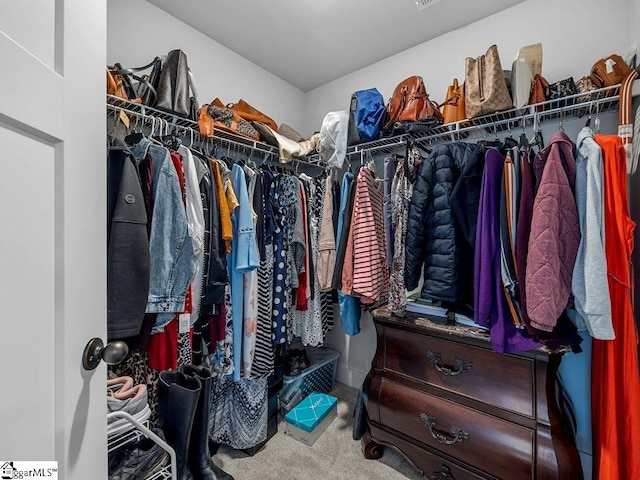 1215 Cherry Orchard Rd, Moore, SC 29369 - walk in closet with carpet flooring