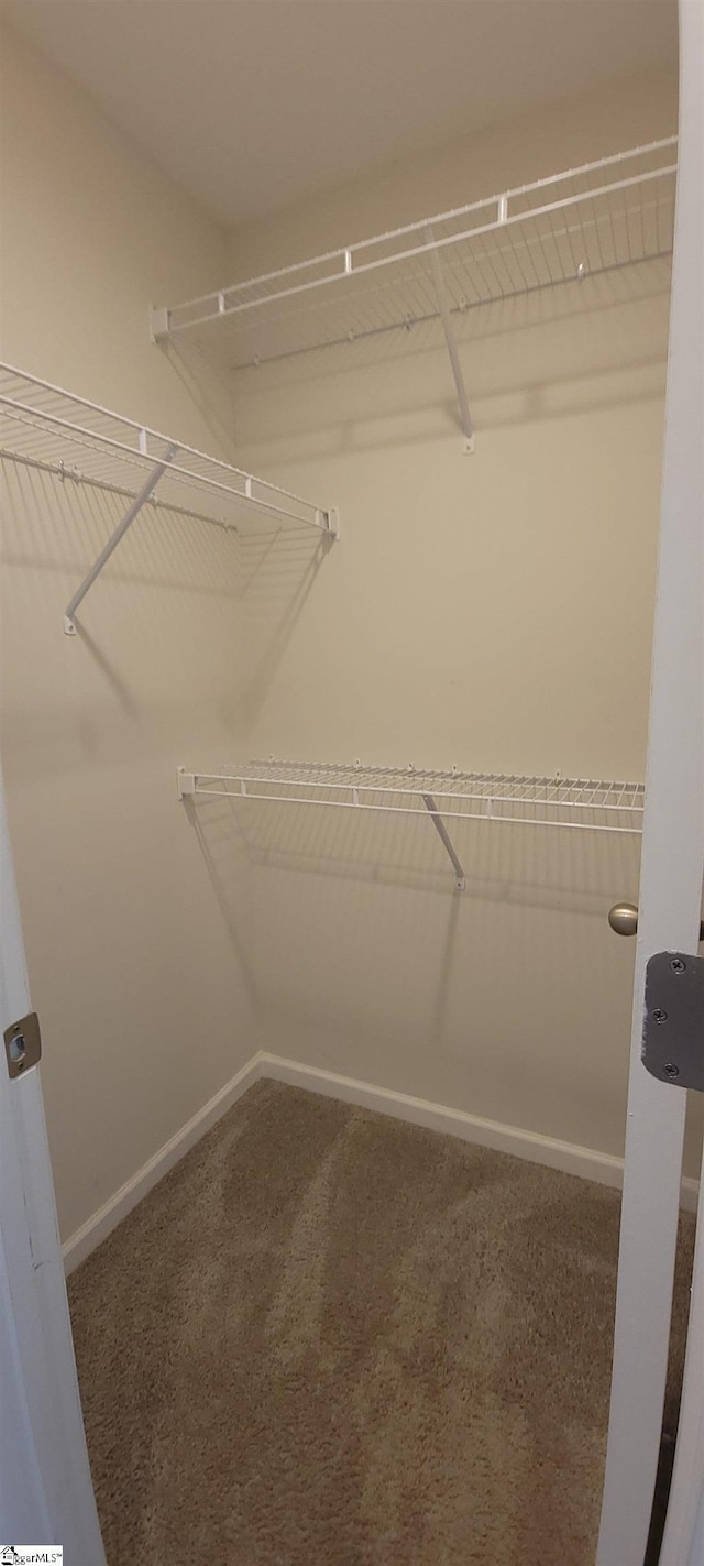 638 Grantleigh Dr, Duncan, SC 29334 - walk in closet featuring carpet floors