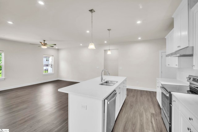 4 Inka Ct, Greenville, SC 29607 - kitchen with appliances with stainless steel finishes, under cabinet range hood, dark wood-type flooring, light countertops, and ceiling fan