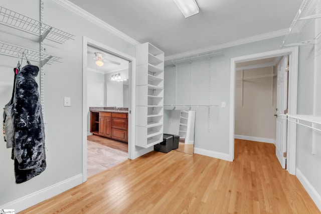 1 Moultrie Dr, Taylors, SC 29687 - walk in closet featuring light wood finished floors and ceiling fan