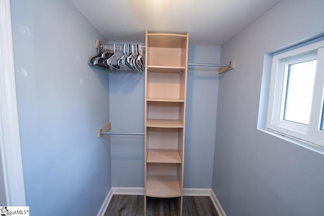 112 Garrison St, Easley, SC 29640 - spacious closet with dark wood-type flooring