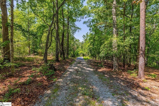 512 Doe Run, Pickens, SC 29671 - view of road with a view of trees