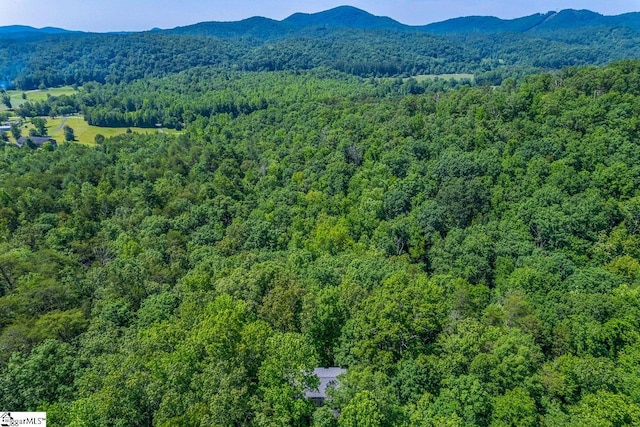 512 Doe Run, Pickens, SC 29671 - aerial view of a forest and mountains